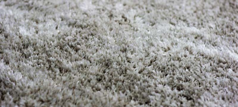 expert carpet cleaning